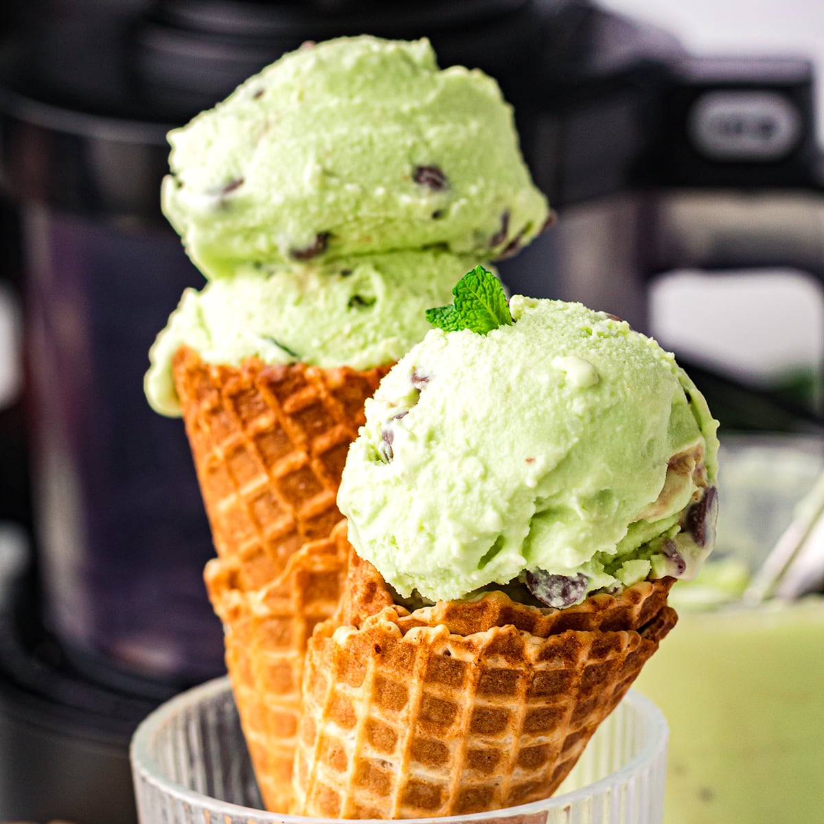 Mint Chocolate Chip Ice Cream - Recipe photo by IrenaMacri