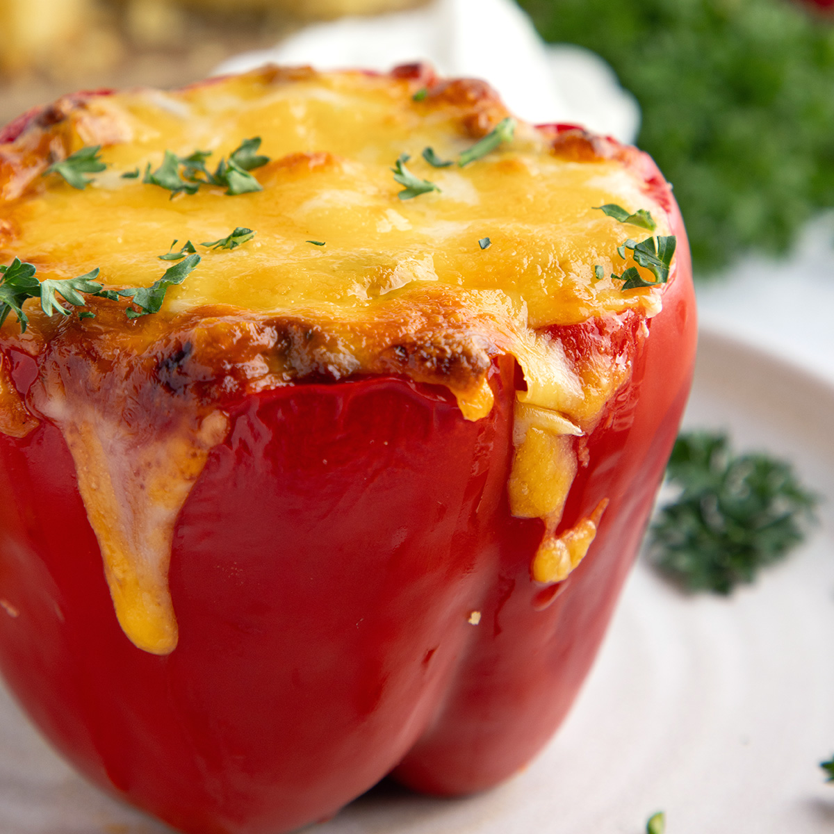 Vegetarian Stuffed Peppers - Recipe photo by IrenaMacri